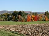 Leaf Peeping 005 : My House, Vermont